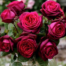 һ�����l��ҹ�ҷ��¼������_���󻨝����ϼtõ���ļ����Ի���ֲ��