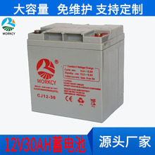 厂家订制12V30AH免维护密封铅酸蓄电池12V28AH24AH直流屏UPS电池