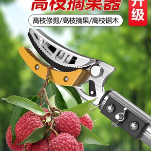 ժˮ����s�U��ժ��֦������÷�������֦���߿�֦��H�T