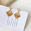 Small design elegant sophisticated earrings, crystal earings, gradient