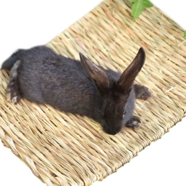 换鞋凳;鸟类;鸟笼