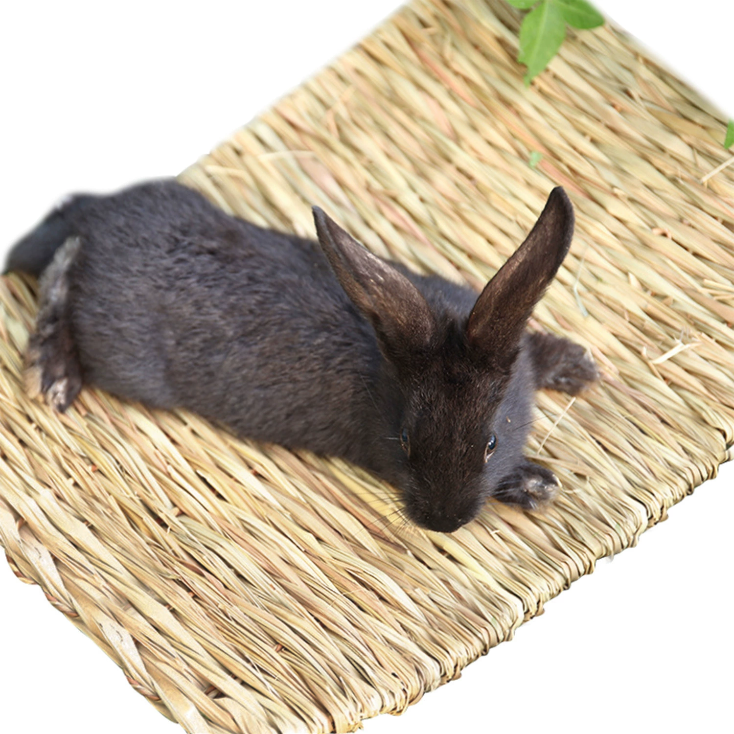 Популярный коврик из натуральной тростинной соломы для кроликов, шиншилл и морских свинок, безопасный для пищевых продуктов, без использования пестицидов.