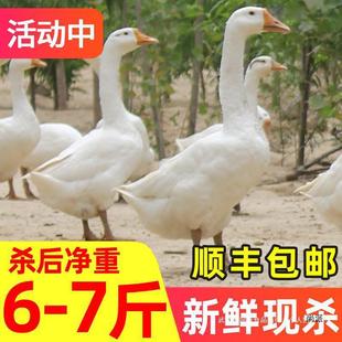 ���Z���r�F���Z���r��ɢ�B�r�����Z����Z���r������r���F偟�