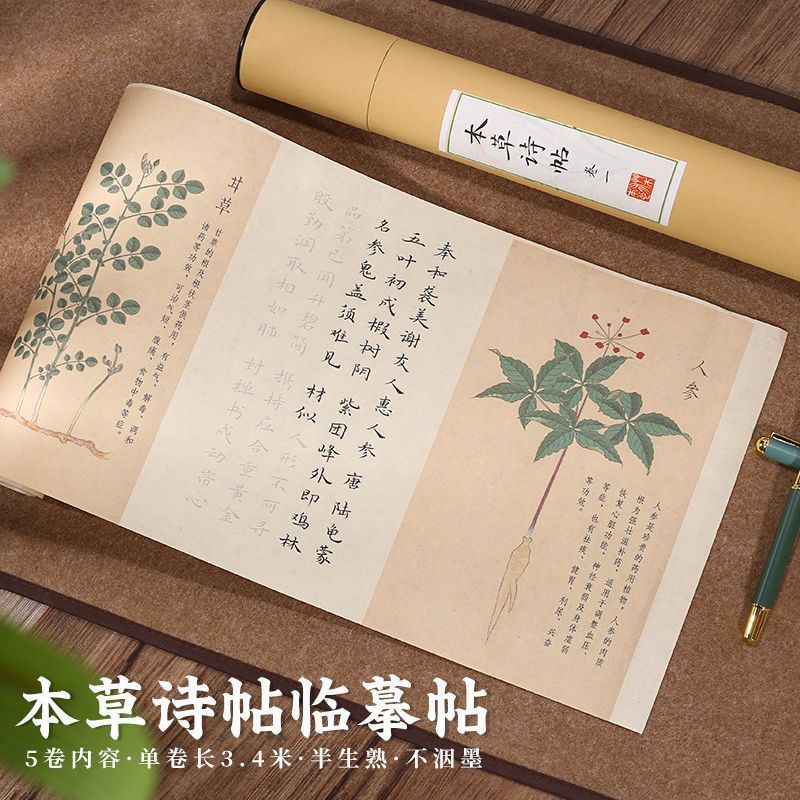 长书小楷字帖草本诗词半生半熟宣纸初学者软笔字帖中草药诗帖