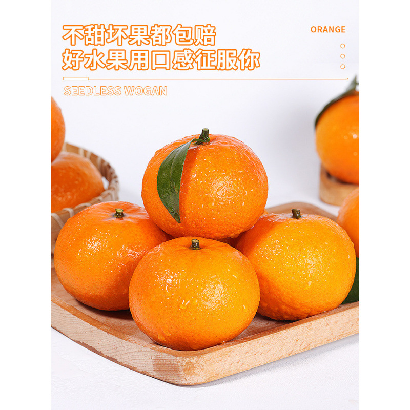 1.0kg - [상차오 과일] 과일 직경 80mm+, 노농이 직접 선별한 고품질!