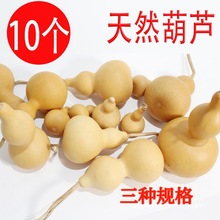 ��Ȼ���J�������탺ͯ�����L���T�f�ز�����J����[��