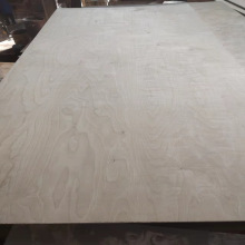 N溣 ľzϰ WN溣岻͸zBS1088