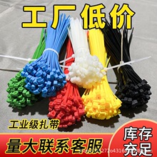 �S�����l��ɫ����������ɫ���iʽ������������ɫ������ ����
