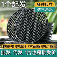 ����׿׉|�W�|Ƭ�ײ���©������|�׾WƬ�A��©�W͸��|Ƭ���l