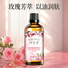 玫瑰润肤油身体按摩油肩舒适颈背开背推拿美容院spa油批发厂销