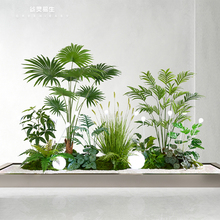 ���`��������Gֲ�쾰�M���҃Ⱦ��^�̨�����¼�ֲ����b���