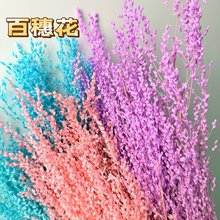 �������������뻨�������˹��Y�д���F��DIY��Ķ�ɫ�F؛���l