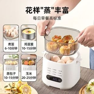 Egg Cooker Intelligent Automatic Power-Off Dormitory Breakfast Artifact Mini Multi-Functional Household Small Egg Steamer Supports Drop Shipping