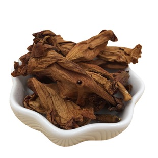 ���l�䱳��ș�������� ���}����؛����ă�