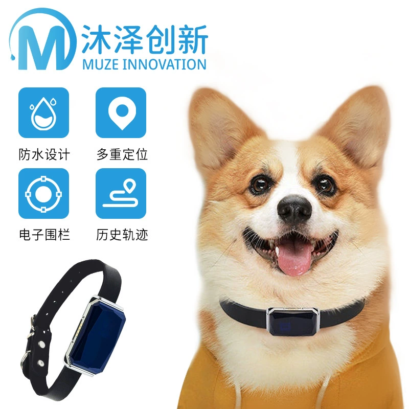 G12 трансграничный анти-потерянный локатор для домашних животных Интеллектуальный водонепроницаемый ошейник для отслеживания и позиционирования GPS-трекинг Противоугонный локатор