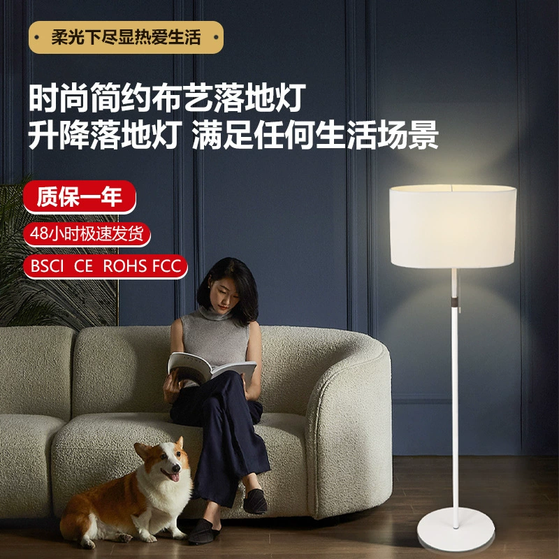 Торшер LED защита глаз современный ins стиль гостиная спальня кабинет интернет знаменитости Вертикальный Торшер торшер спальня
