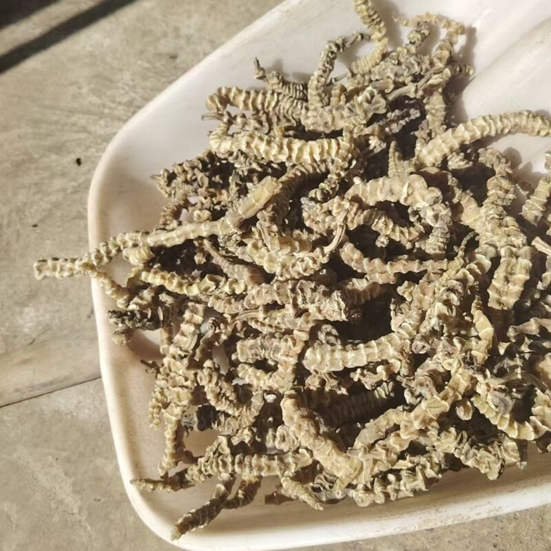 Cordyceps Ginseng, Ginseng, Ginseng, Bamboo Ginseng, Zeelandia Root, Nine-Section Ginseng, New Goods, Dry Goods, Wholesale Source