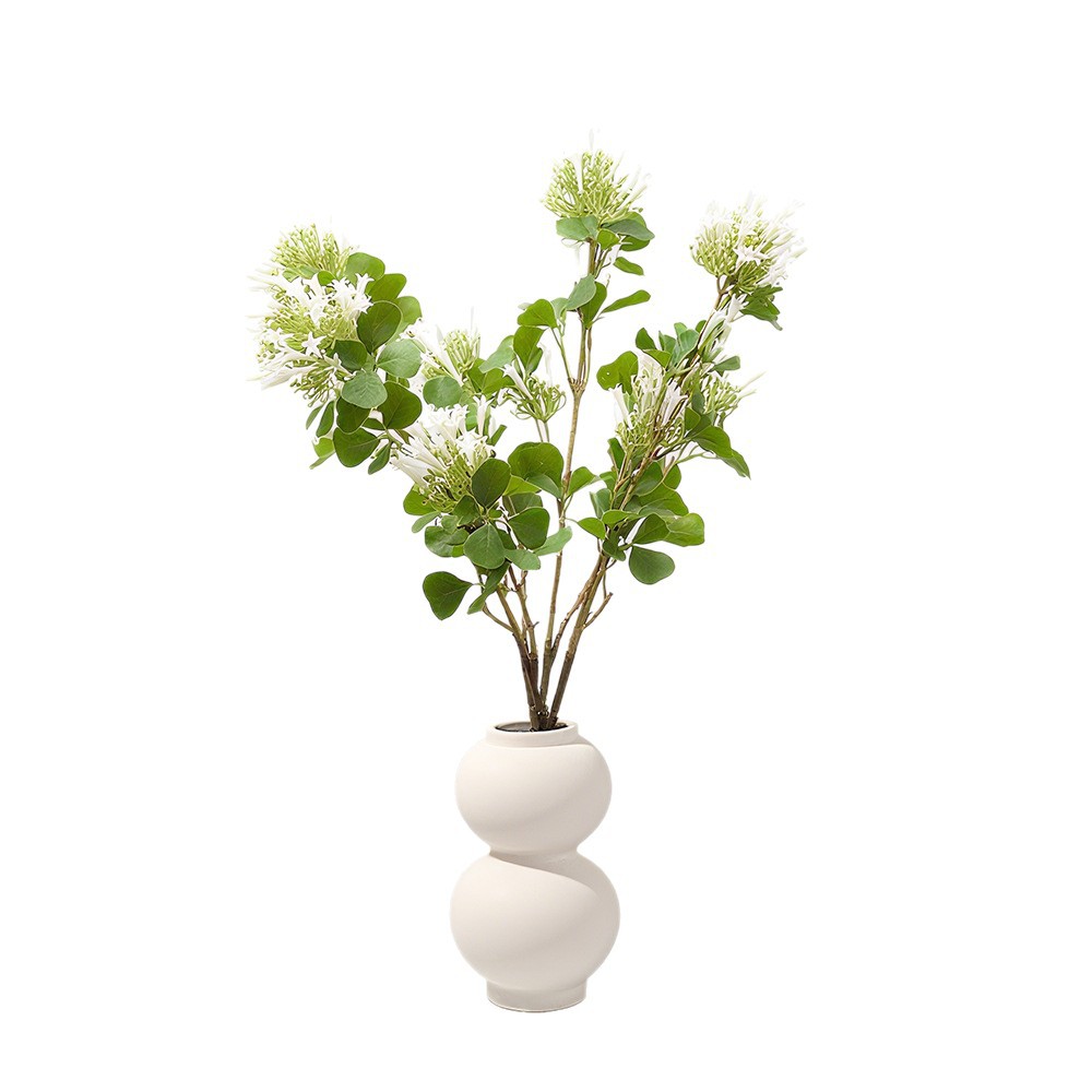 Flores de simulación de flores alternativas nunca se marchitan flores verdaderas dormitorio decoración de oficina decoración del hogar ins