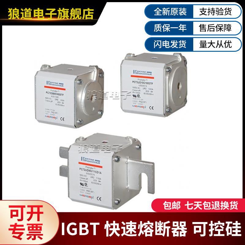 A130UD73TTI315-Z301046 BS000UB50V350-X330116罗兰快速熔断器