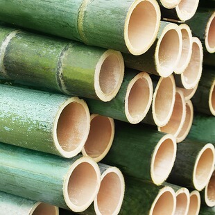 ���ӗU�쾰ë��Ϳ��ľGɫ���r��c������׃��@�h����С��Ͳ����