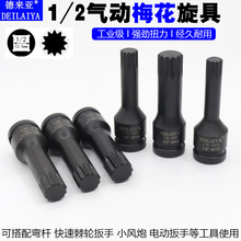 1/2С�L���B�w÷�����^���������Ͳ���b���wʮ����12��M���L���^