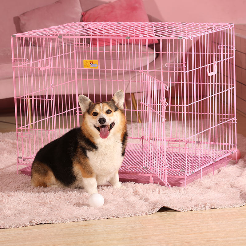 2 피트 케이지 파우더 (61cm) M