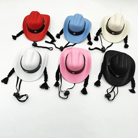 宠物帽子;表演/节庆帽;帽子头巾配件