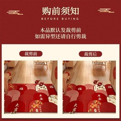 紅色新年喜慶地墊入戶門墊大門口進門硅藻泥腳墊室內玄關喬遷地毯
