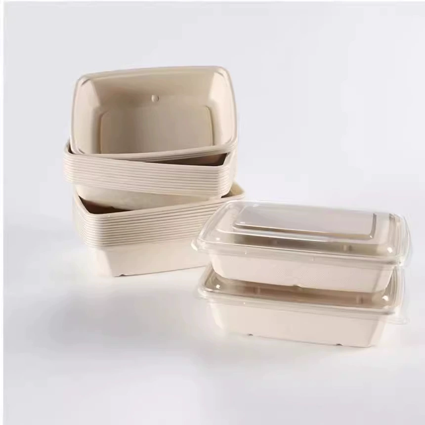 Американская коробка для упаковки сахарного тростника Одноразовая коробка быстрого питания из целлюлозы