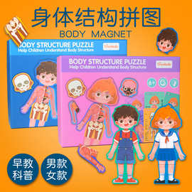 儿童认知男女孩人体身体结构拼图器官图片幼儿园教具早教益智玩具