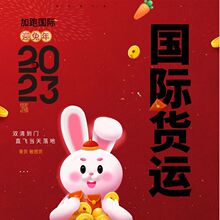 欧洲空派FBA包税专线国际货运物流到德国法国意大利西班牙荷兰DDP