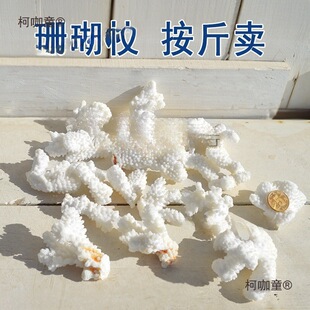 ��̨�b���Ȼ̫���ײ�ɺ���~��diy���b����֦����ؐ��䁵�ɺ��ʯ