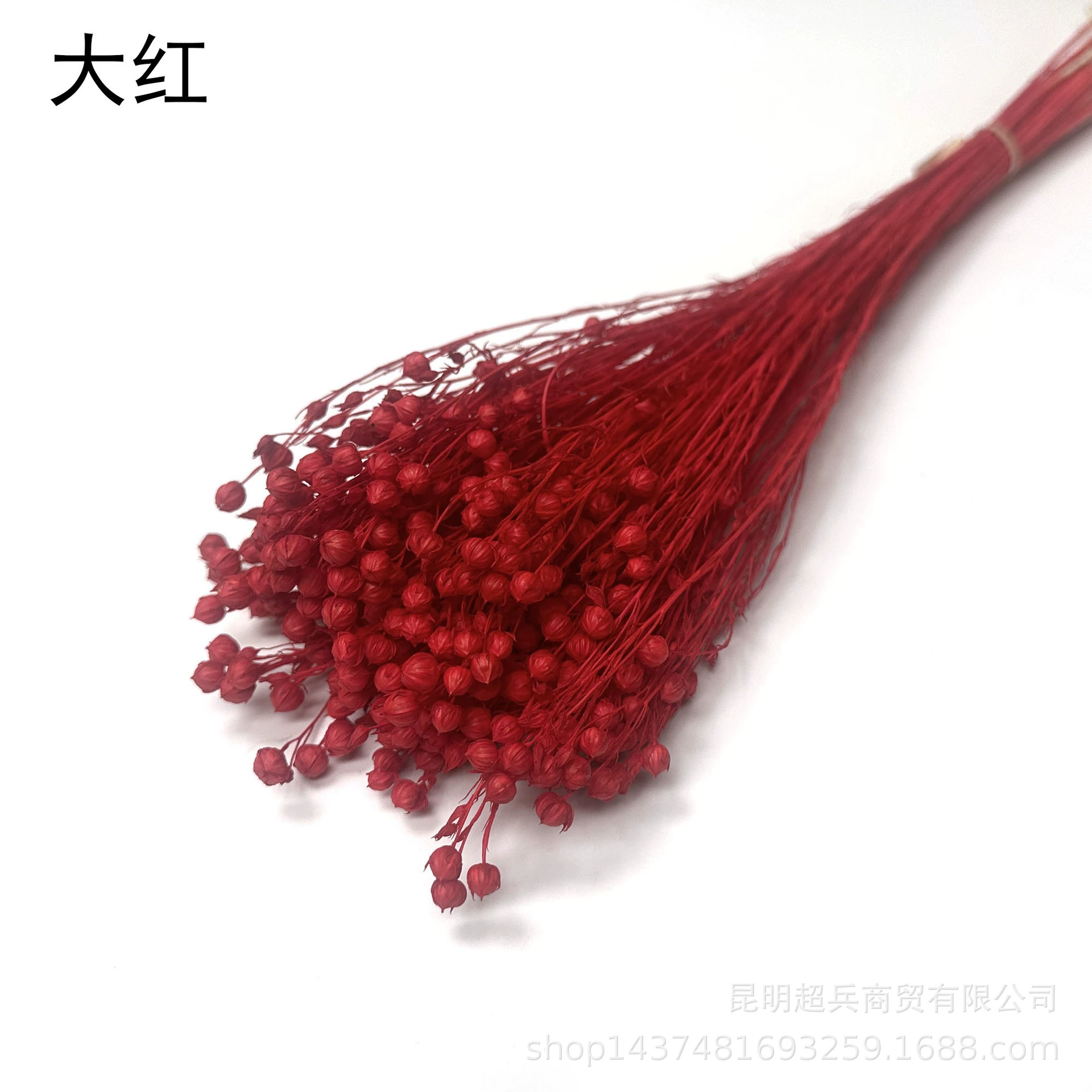 【Eternal Flower Acacia Bean】Yunnan Craft Gift Materials Dried Flower Fugui Beans (Fugui Beans) Shiba Beans