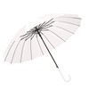 Japanese fresh automatic umbrella, wholesale