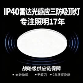 LED日光灯;地脚/墙脚灯;吸顶灯