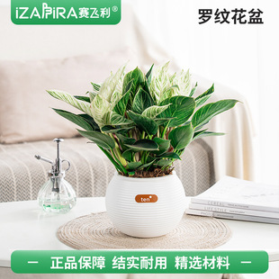 �_�y���������ˮ�������ϼӺ��֬ˮ���A�����w���滨����������