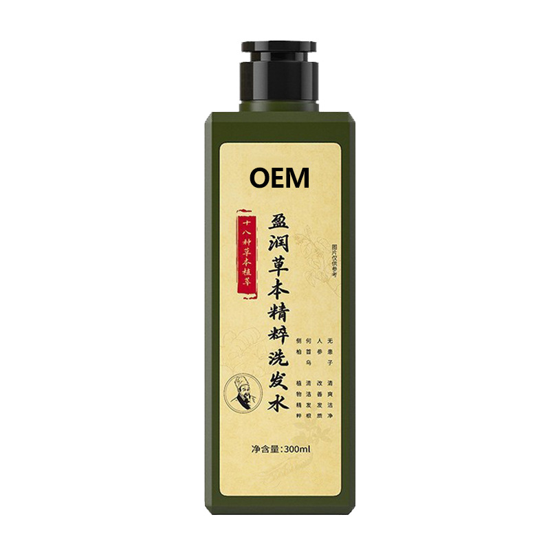 Shampoo de hoja de C. lateralis personalizado, jengibre para el cabello, control de aceite, champú antiprurito, polygonum multiflorum oem