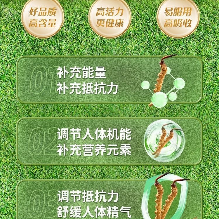 補養堂寿世宝元牌冬虫夏草(菌糸体) カプセル免疫調節めまいスポット代発|undefined