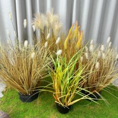 仿真蘆葦仿真狗尾巴草北歐風假草盆栽裝飾室內現代客廳家居造景草