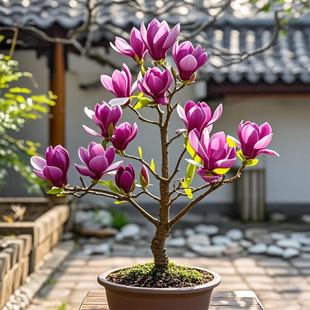 ���m���������绨�ϰ��S���m����ͥԺ�����ļ��ͺ��������ԾG����