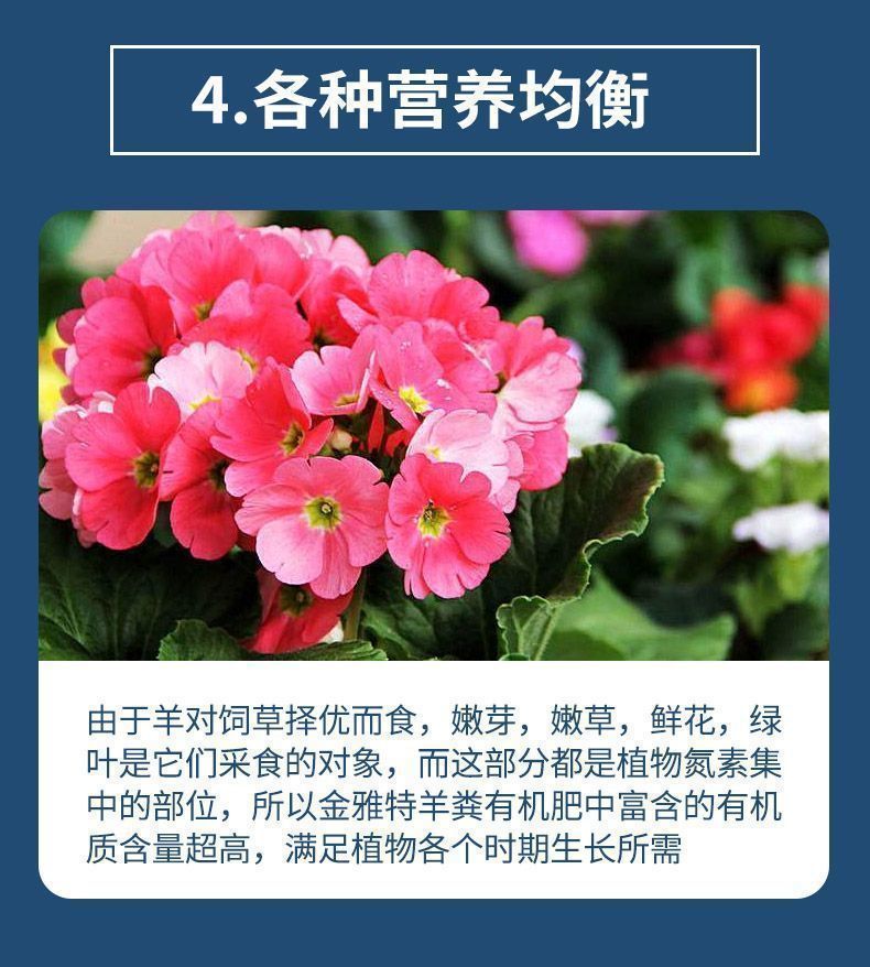 15fad1c1-2ea6-45bb-bf82-3d45fb15a5ea.jpe