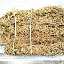 ���������S�z���Së�ٗl�����{��Ȼֲ����Ȧ���h���Ͼ������@