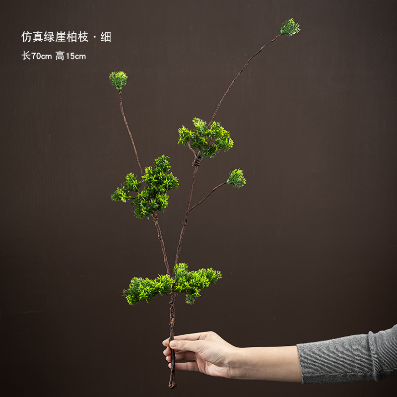 작은 녹색 thuja 소나무 가지