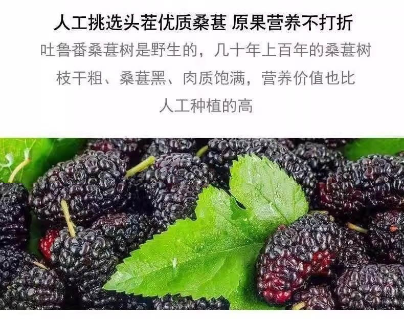 Dried Mulberry Fruit Sang Shen Zi 250g Black Mulberries for Tea Snacking and Herbal Use in use