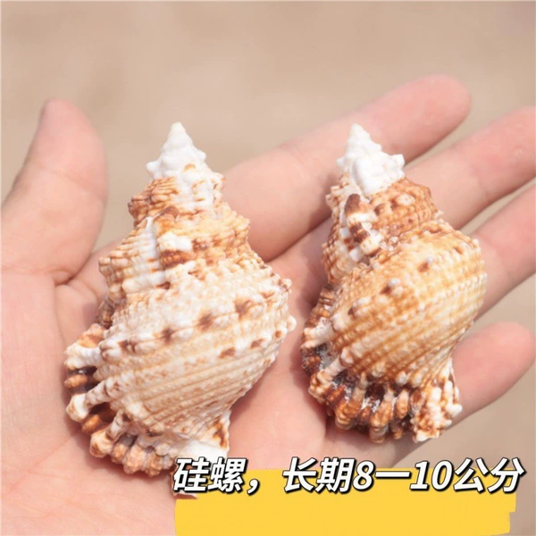Silicon snail 8-10 cm 1 piece