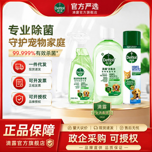 ��Ʒ��¶Dettol��������F300mlԭ�b99.99%����ȮС���Ӿ�