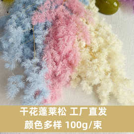 云南永生花蓬莱松100g/束保鲜花真花家居装饰ins风材料厂家直发