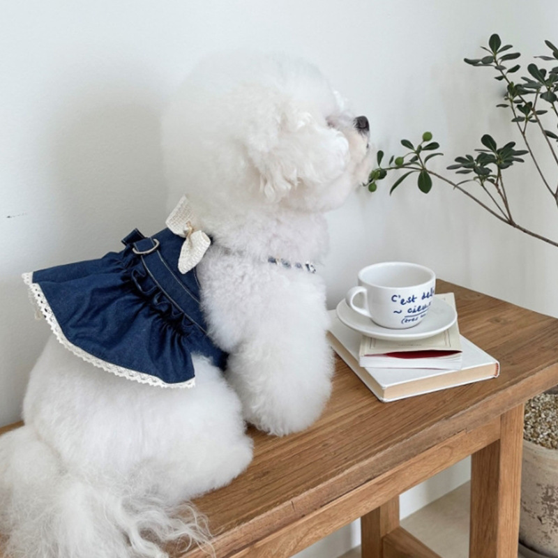 Perro pequeño y mediano mascota gato falda de mezclilla a juego tocado horquilla