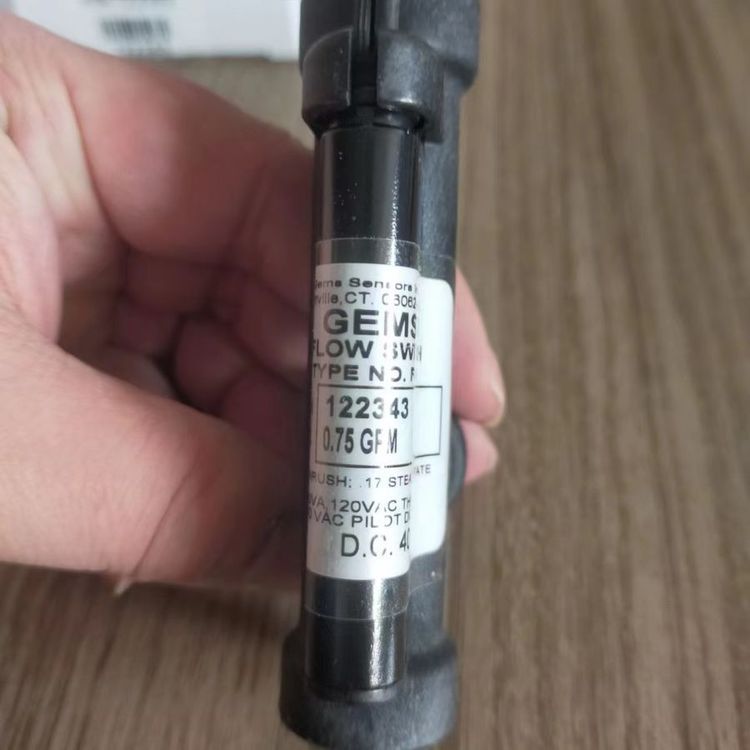 GEMS捷迈FS-4小型流量开关FS-3 FS-150 FS-200 FS-600 FS-400 FS-
