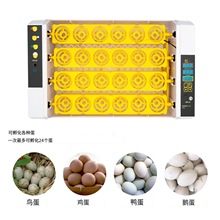 孵化器家用智能小鸡养殖孵化设备24枚鸡蛋家禽孵化机鸟类孵蛋器